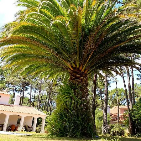 Mauka Ericeira فندق مبيت وإفطار