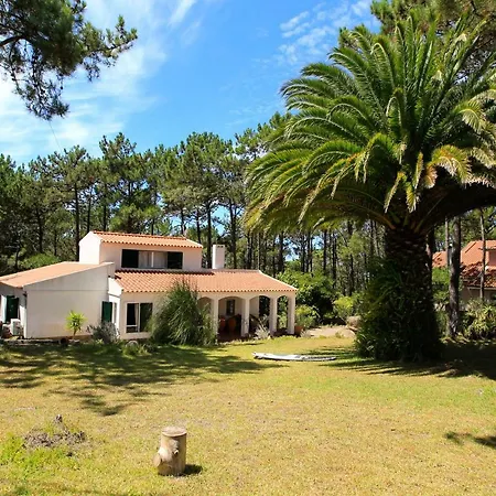 Mauka Ericeira *